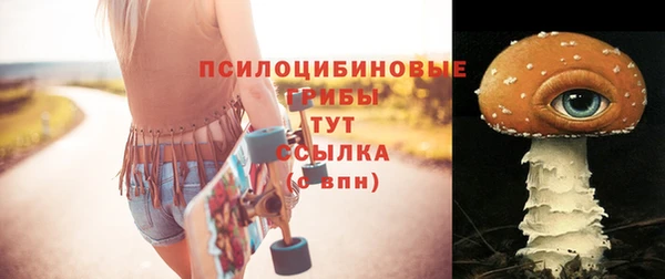 мяу мяу мука Горняк