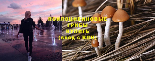 мяу мяу мука Горняк